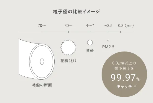粒子径の比較イメージ
